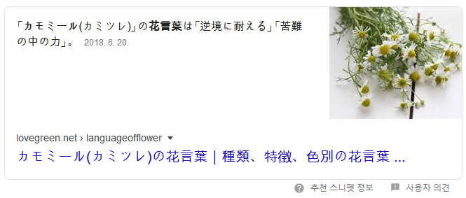 캐모마일.PNG