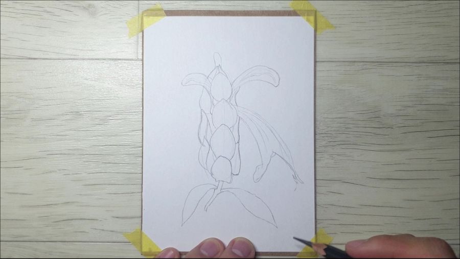 금새우꽃을 그려봤습니다._2.jpg