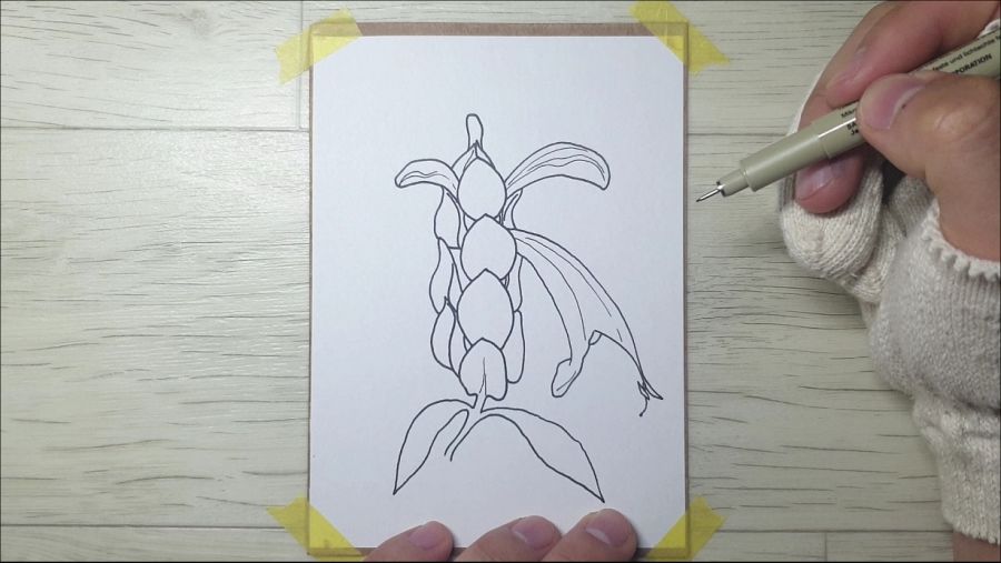 금새우꽃을 그려봤습니다._4.jpg