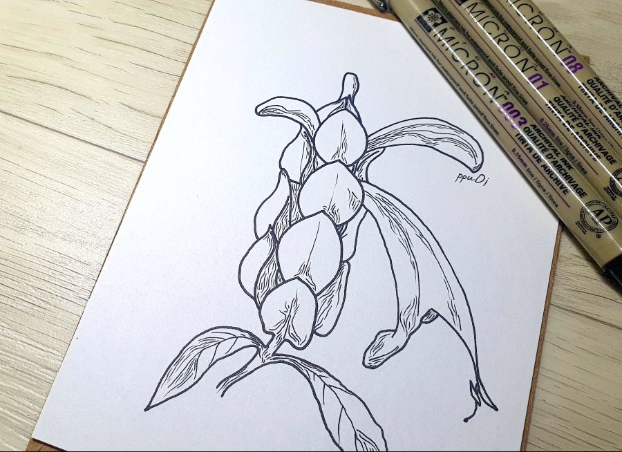 금새우꽃을 그려봤습니다._6.jpg