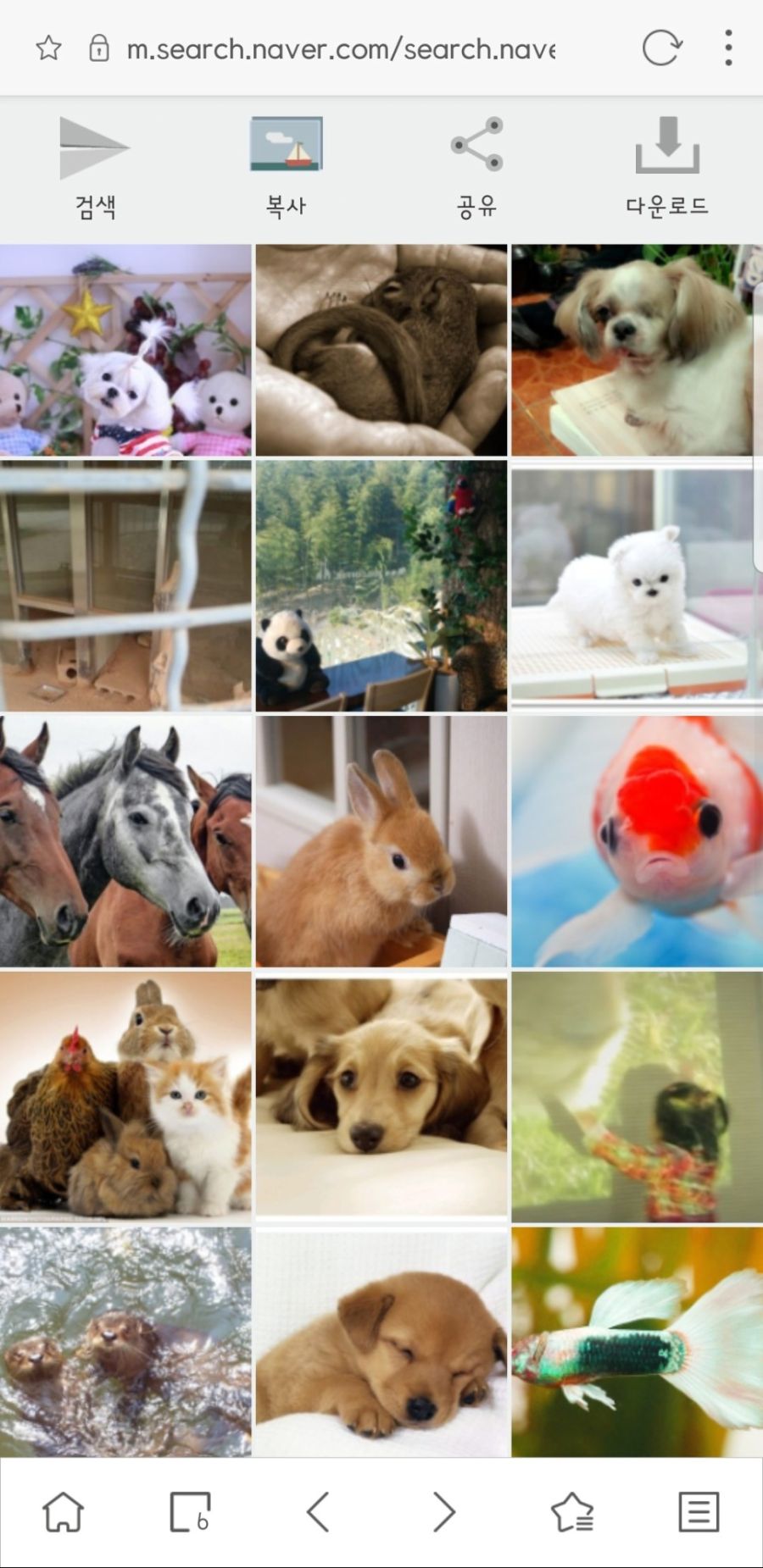 무료 VPN과 제스처 동영상 다운로드를 탑재한 모바일 브라우저._4.jpg