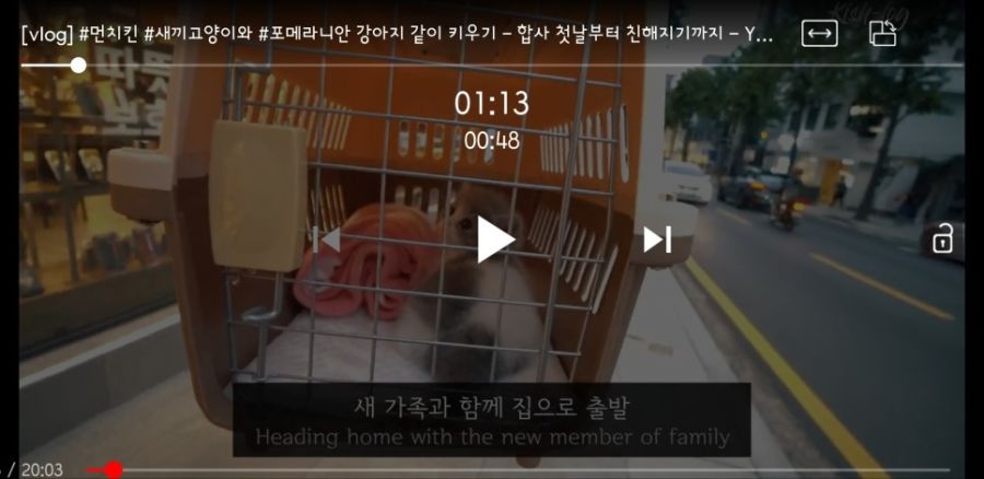 무료 VPN과 제스처 동영상 다운로드를 탑재한 모바일 브라우저._6.jpg