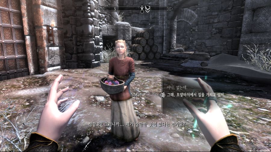 alsdn9941_TheElderScrollsVSkyrimSpecialEdition_20200224_07-16-40.png