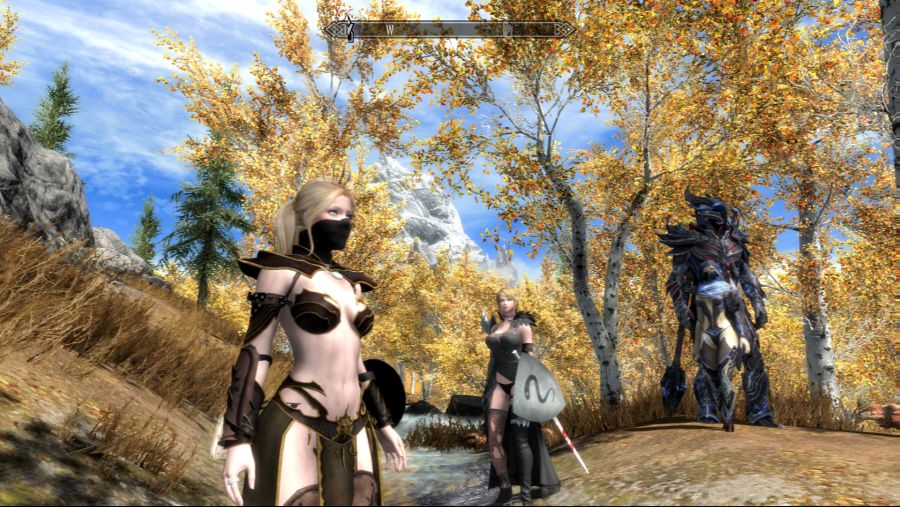 alsdn9941_TheElderScrollsVSkyrimSpecialEdition_20200220_08-48-46.png