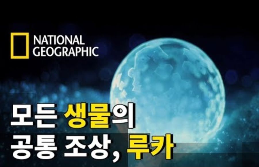 인간, 개, 고양이 등의 공통 조상은 루카란 세포 | 유머 게시판 | 루리웹