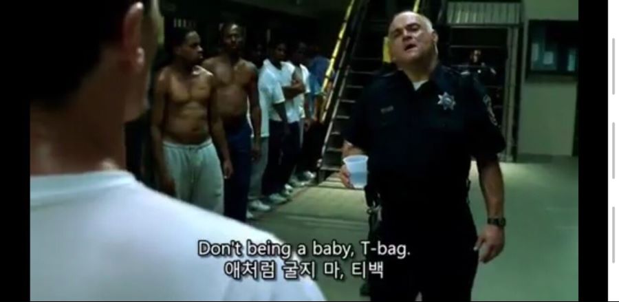 지금 봐도 찰진 인종차별(feat. 프리즌브레이크)_1.jpg