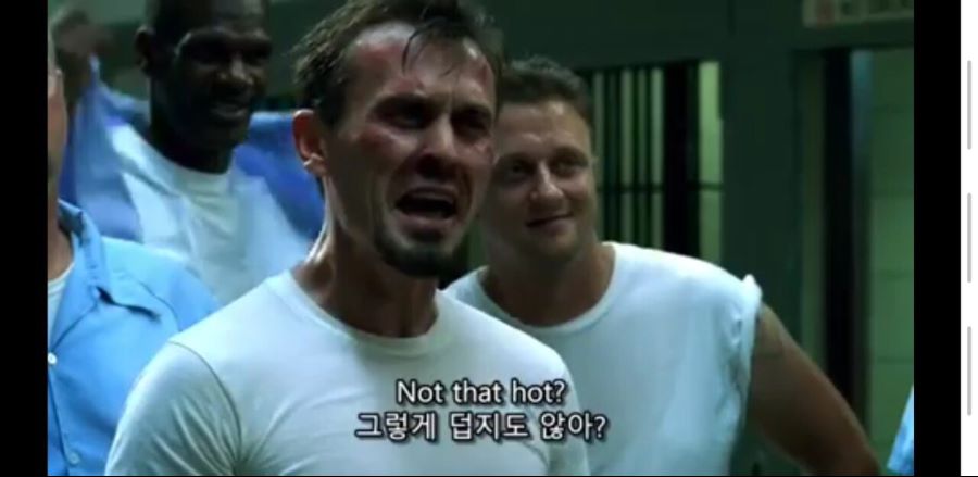 지금 봐도 찰진 인종차별(feat. 프리즌브레이크)_3.jpg