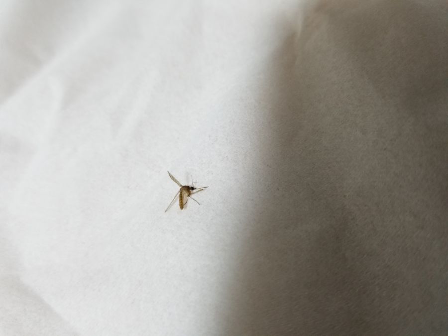 벌써 이 새기들이 돌아댕기네(혐주의)_1.jpg