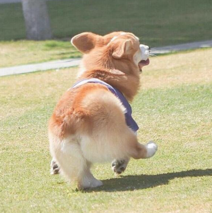 100% 확률로 엉덩이 사진_4.png