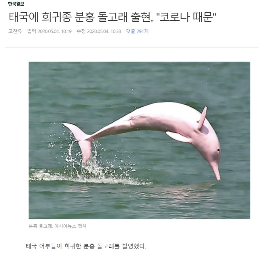 루리웹 인기스타 떳네 | 정치유머 게시판 | RULIWEB 루리웹 인기스타 떳네 | 정치유머 게시판 | Ruliweb