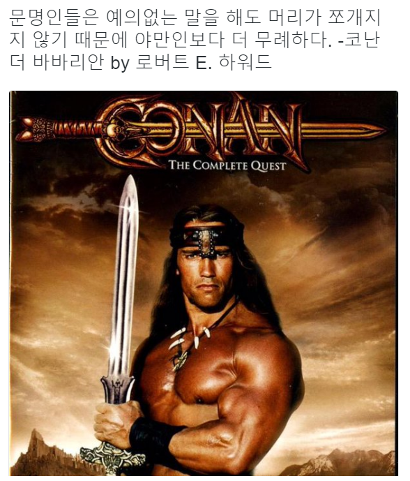스트릿 출신 고양이들이 예의 바른 이유_1.png