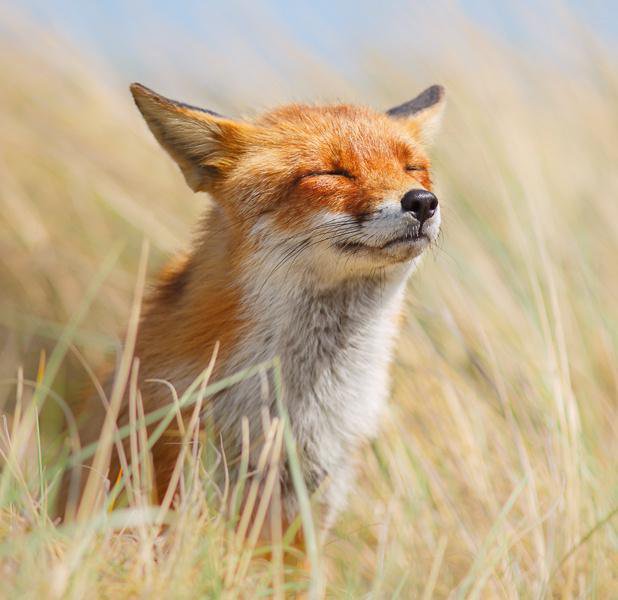 누르지마 누르지마 누르지마 누르지마 누르지마 누르지마_12.jpg