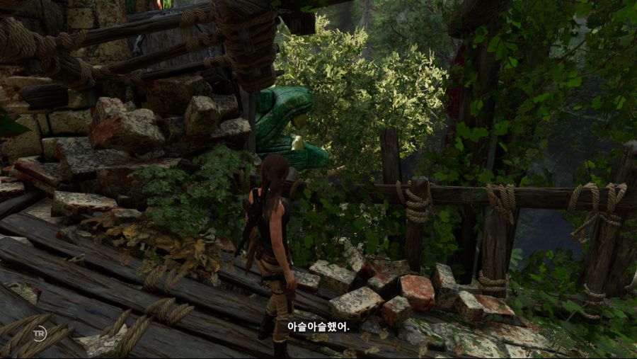 Shadow of the Tomb Raider (23).png