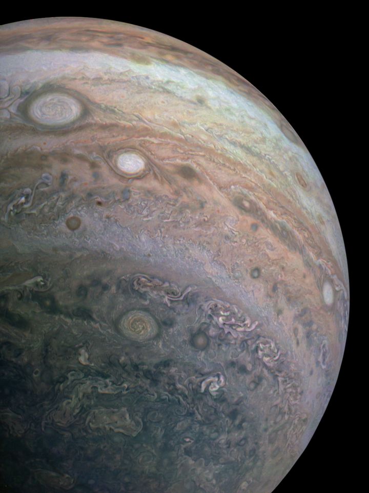 JUPITER'S RACING STRIPES.jpg