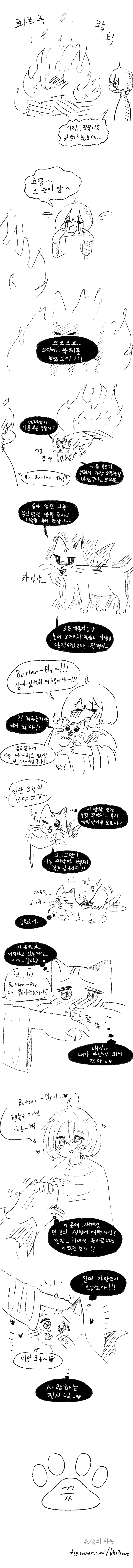 귀여운 고양이를 산제물로 바치는 이단 사이비 소년 만화2.jpg