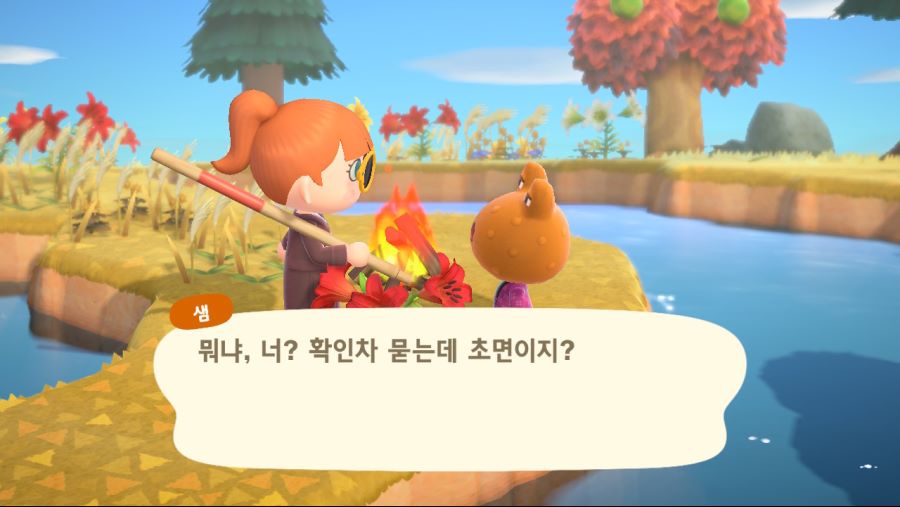 미랑과 그리미가 섬을 떠났습니다