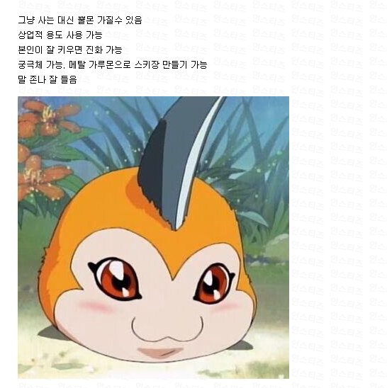 아이린이랑 살기 VS 뿔몬이랑 살기JPG