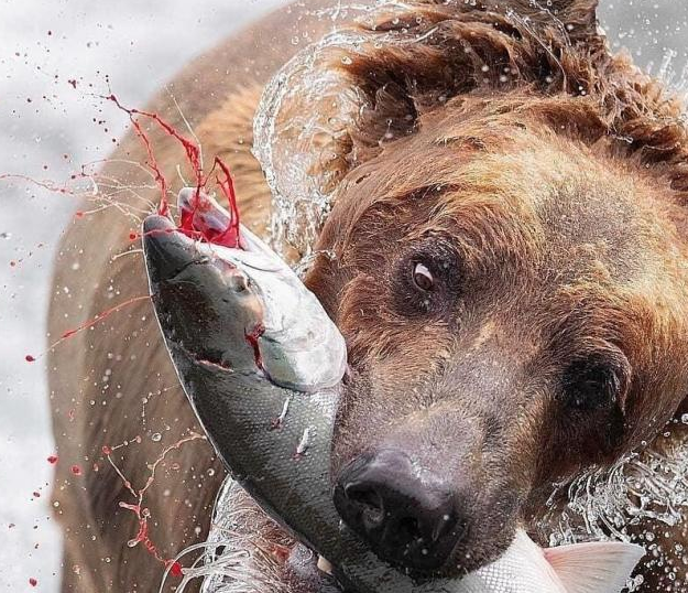 "한 번만이라도 좋아... 놈에게 큰 한 방을 줄 수 있다면!"_2.png