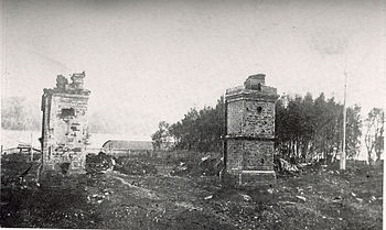 한국 독립군이 크게 망해버렸던 사건과 이유_2.jpg