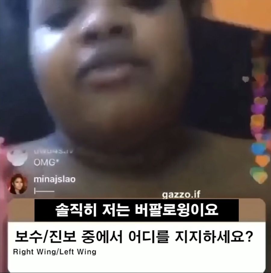 좌익이세요? 아님 우익?_1.jpg