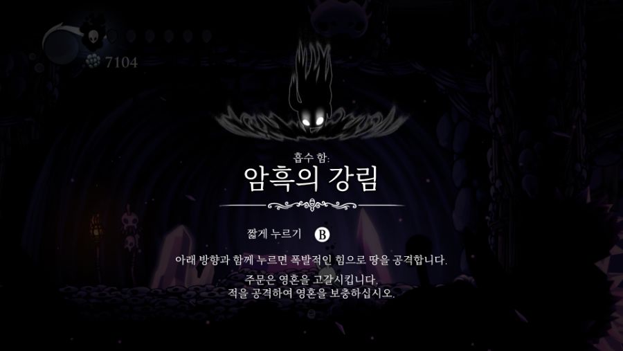 Hollow Knight 공허의 심장 에디션 (6).png