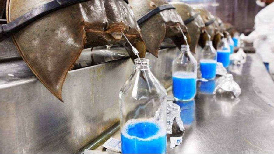 머리에 피도 안마른게 (백업)유머 게시판(20202021)