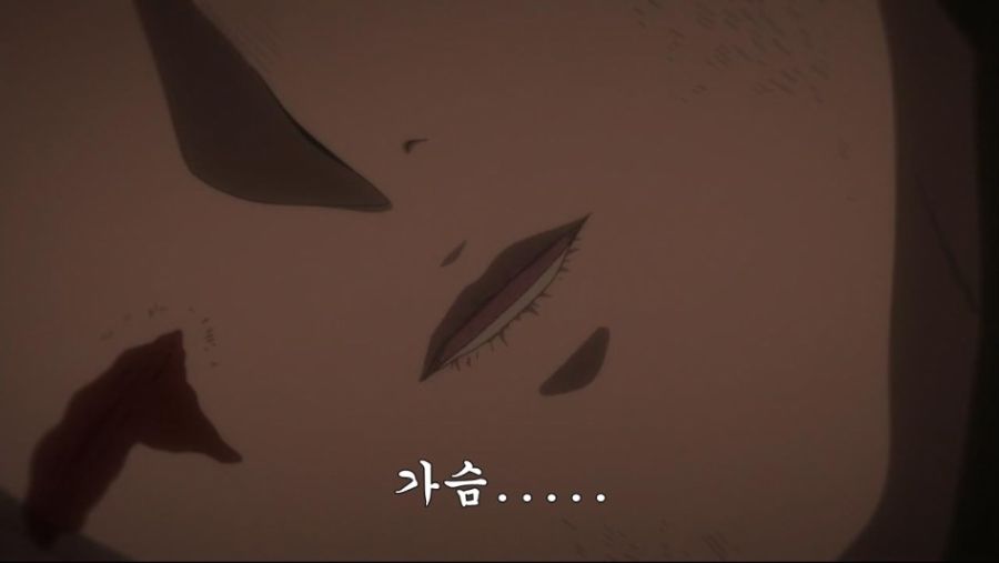 다시는 그 때의 감상으로 돌아갈 수 없게 된 애니_22.jpeg