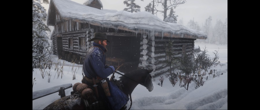 Red Dead Redemption 2 Screenshot 2020.06.07 - 11.43.06.46.png