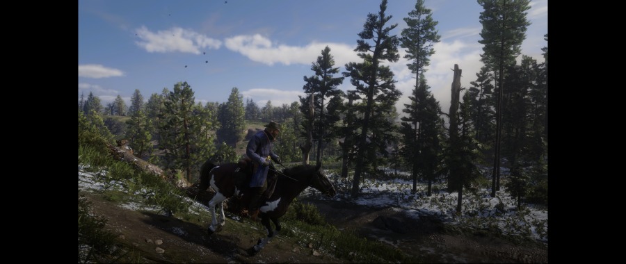 Red Dead Redemption 2 Screenshot 2020.06.07 - 12.17.00.58.png