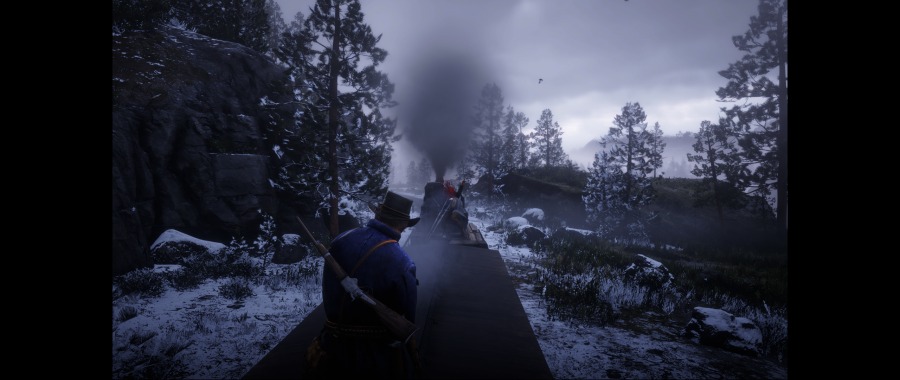 Red Dead Redemption 2 Screenshot 2020.06.07 - 12.24.48.64.png