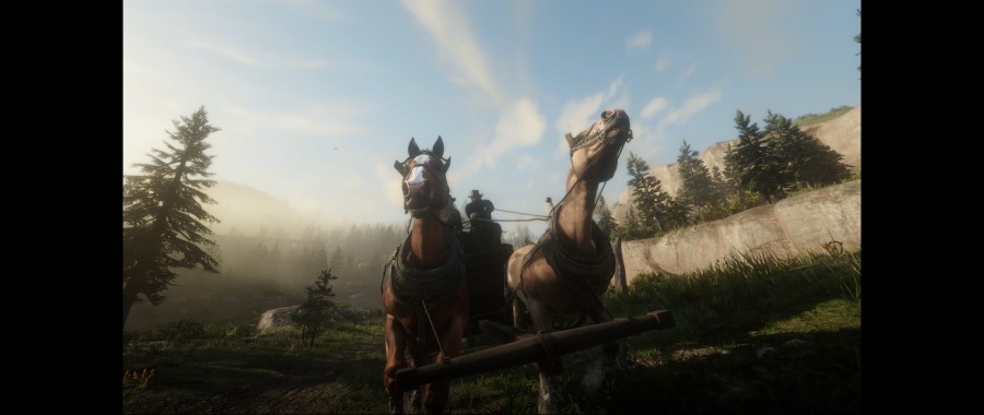 Red Dead Redemption 2 Screenshot 2020.06.07 - 12.40.45.40.png