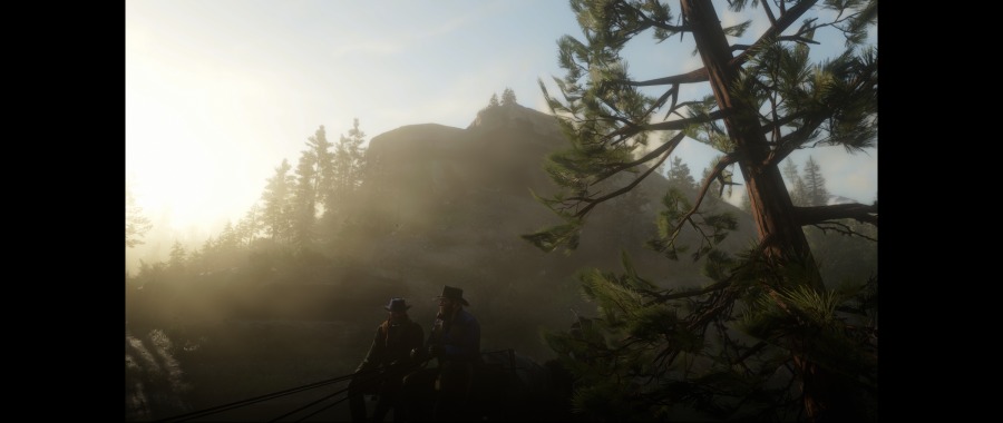 Red Dead Redemption 2 Screenshot 2020.06.07 - 12.40.01.00.png