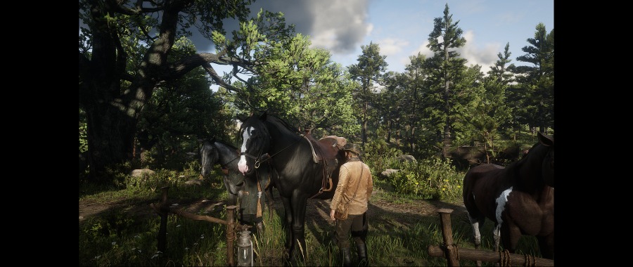 Red Dead Redemption 2 Screenshot 2020.06.07 - 14.54.50.06.png