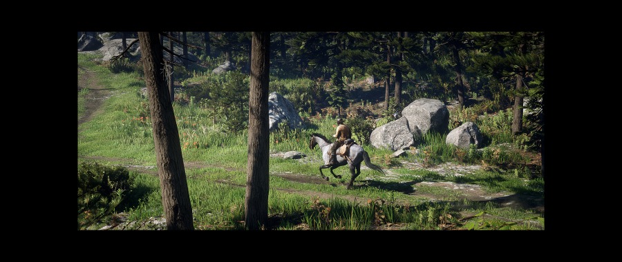 Red Dead Redemption 2 Screenshot 2020.06.07 - 16.08.51.17.png