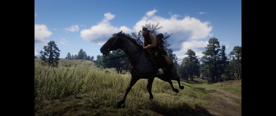 Red Dead Redemption 2 Screenshot 2020.06.07 - 17.39.40.58.png