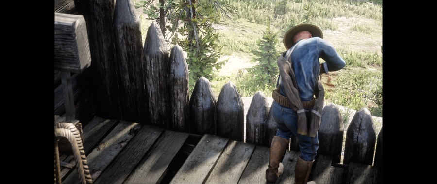 Red Dead Redemption 2 Screenshot 2020.06.07 - 17.51.51.18.png