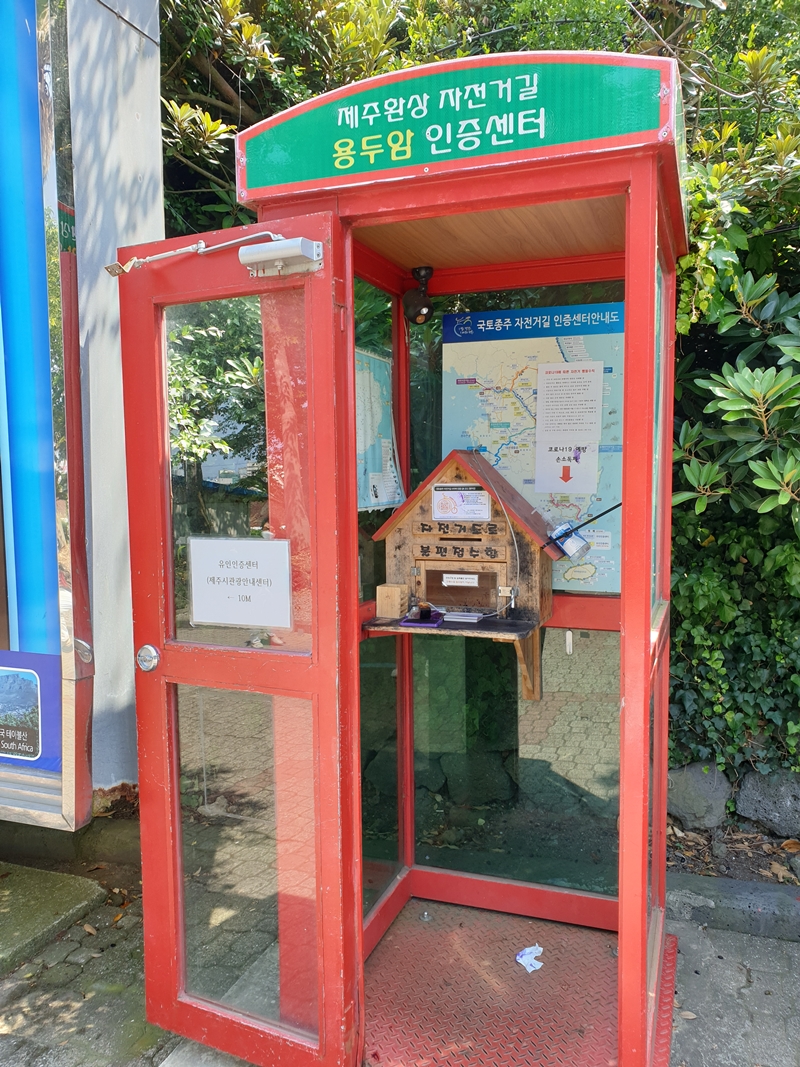 (초스압) 제주 환상자전거길 234 km 완주 도전 겸사겸사 먹부림 여행_6.jpg