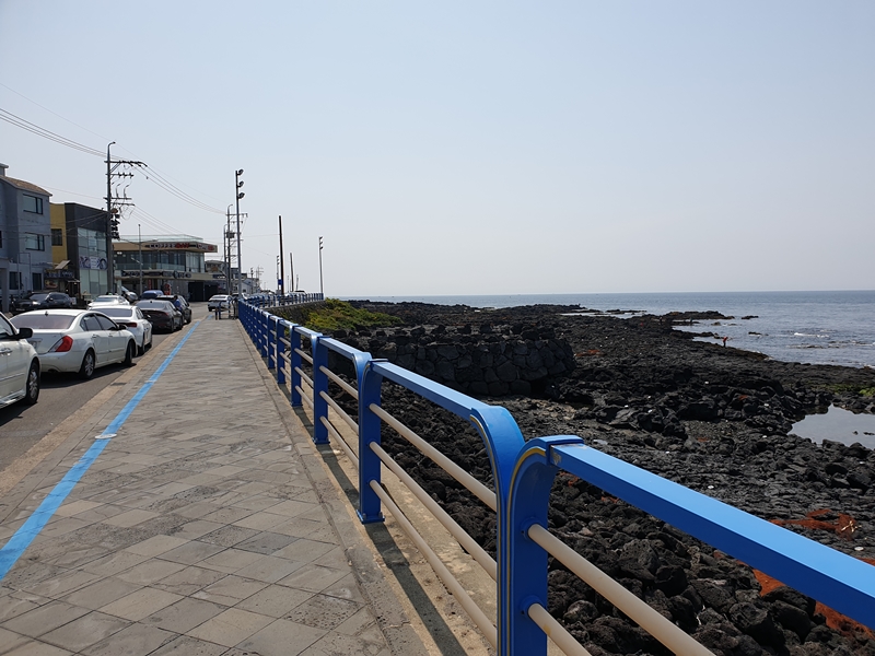 (초스압) 제주 환상자전거길 234 km 완주 도전 겸사겸사 먹부림 여행_9.jpg