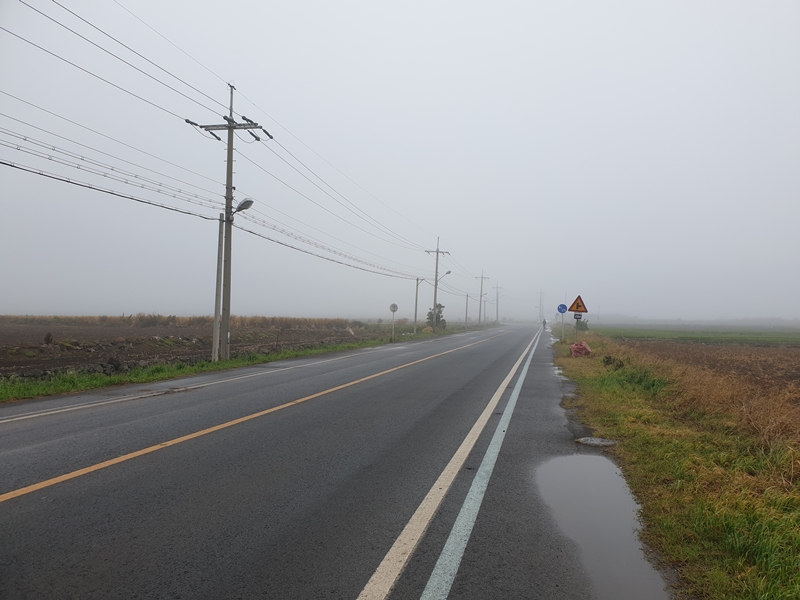 (초스압) 제주 환상자전거길 234 km 완주 도전 겸사겸사 먹부림 여행_26.jpg