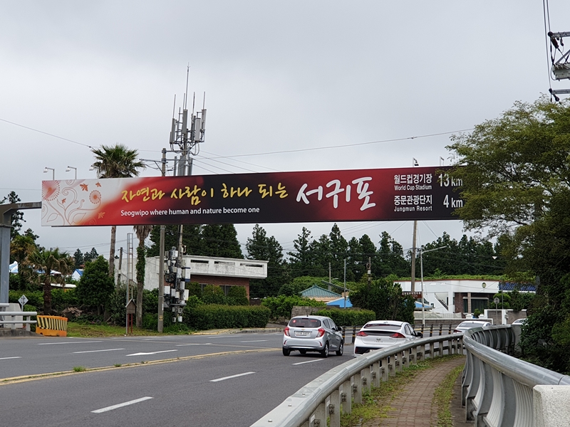 (초스압) 제주 환상자전거길 234 km 완주 도전 겸사겸사 먹부림 여행_30.jpg