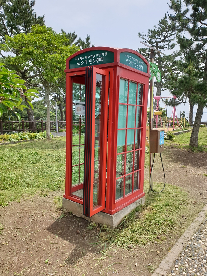 (초스압) 제주 환상자전거길 234 km 완주 도전 겸사겸사 먹부림 여행_50.jpg
