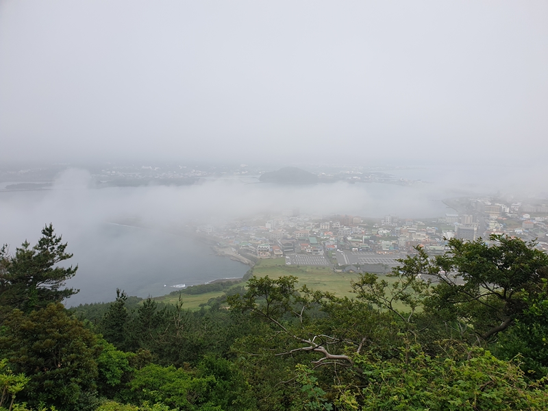 (초스압) 제주 환상자전거길 234 km 완주 도전 겸사겸사 먹부림 여행_66.jpg