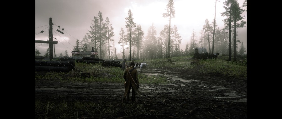 Red Dead Redemption 2 Screenshot 2020.06.10 - 01.48.08.89.png