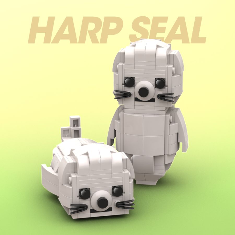 HARP SEAL.jpg