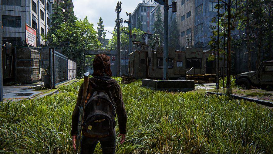 The Last of Us™ Part II_20200620144440.png