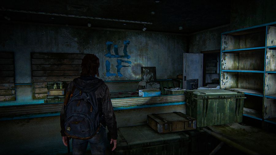The Last of Us™ Part II_20200623141204.png