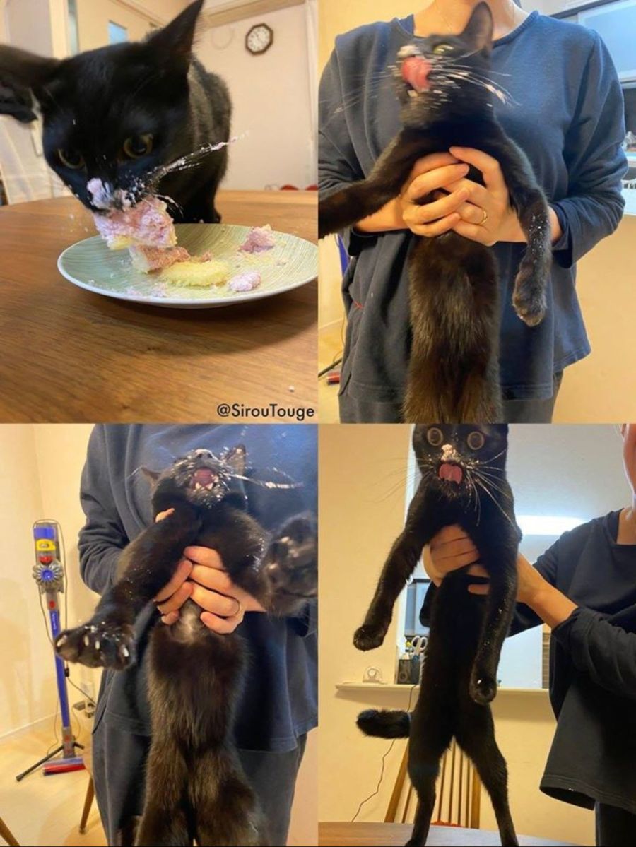 세상에서 가장 사악한 생물_9.jpg