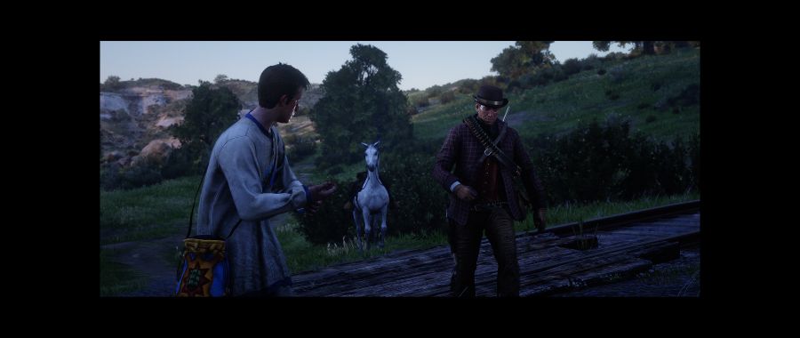 Red Dead Redemption 2 Screenshot 2020.06.09 - 03.41.46.17.png