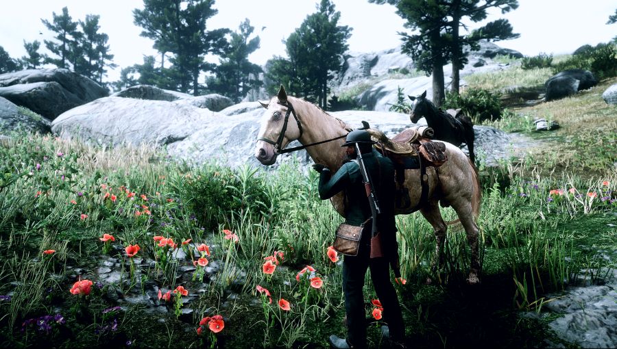 Red Dead Redemption 2 Screenshot 2020.07.17 - 03.52.57.37 복사.png