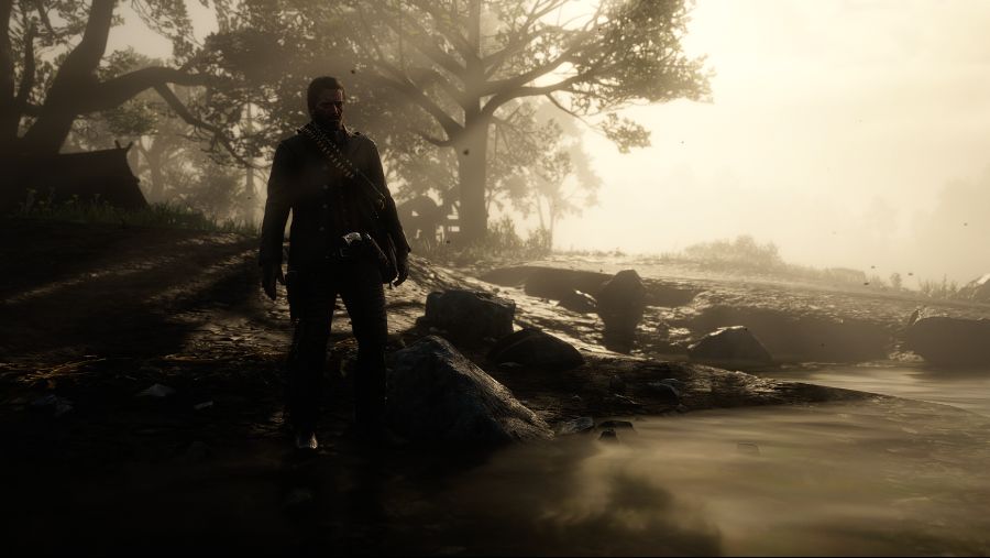 Red Dead Redemption 2 Screenshot 2020.06.10 - 04.12.59.43.png